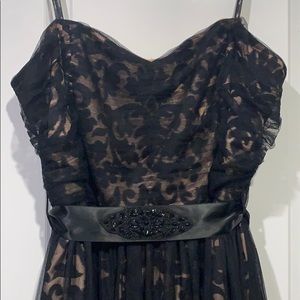 NWT ✨ Black & Cream Citi Chic formal- floor length